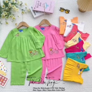 Bộ tay dài chất vải Tole/Lanh Công ty Việt Thắng cho bé gái 6-20kg