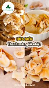 Dừa biển khô 1kg (Nấu canh nấu chè ngọt thơm thanh mát) - Chợ Thảo Dược Việt
