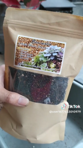 Media Tanam Sukulen & Kaktus / metan Pumice Kaktus Koboi / Media Tanam Porous Subur