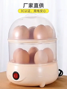 2 Layer Food Steamer Egg Cooker Boiler Kitchen Appliances breakfast machine Electric Steamer
