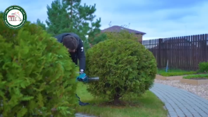 MAKITA UH201DZ Makita เครื่องเล็มกิ่งไม้ แบต 12v (ไม่รวมแบตเตอรี่ และ แท่นชาร์จ) เล็มกิ่ง