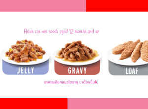 ยกกล่อง 12 ซอง Royal Canin Instinctive Pouch โรยัล คานิน อาหารเปียกแมวโต อายุ 12 เดือนขึ้นไป (กดเลือกเนื้อสัมผัสได้ Wet Cat Foods) Jelly Gravy Loaf