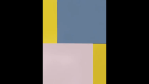 Rak Bumbu Dapur 4 in 1 Kotak Wadah Toples Seasoning Box Storage 4 Sekat Free Sendok