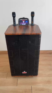 Loa kéo karaoke ontekco 1503 -3 đường tiếng  kèm 2 micro không dây bass 40 công suất lớn  bảo hành 12 tháng