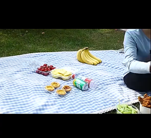 Electric Fly Repellent Fan Mosquito Leaf Repeller Automatic Bug Trap Table Food Protector Pest Bug Device Halau Lalat