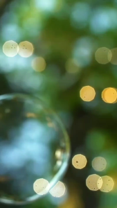 Kacang Pistacio Panggang Premium: Kelezatan & Kesehatan dalam Cangkang Renyah