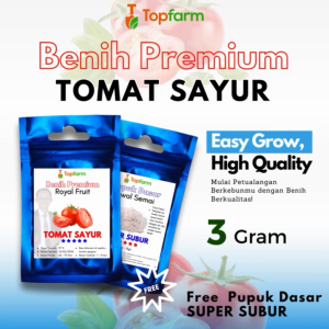 Benih Topfarm: Benih Tomat Buah Besar & Terbaik