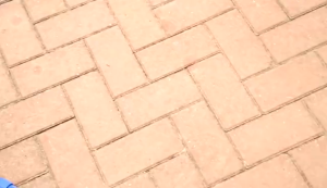 ดึงได้8 เมตร! 【5 in1】สแตนเลส เลื่อยตัดกิ่ง สำหรับตัดกิ่งไม้สูง ไม้สอยยืดหดได้ กรรไกรแต่งกิ่ง กรรไกรตัดกิ่งด้ามยาว กรรไกรตัดกิ่งสูง กรรไกรตัดกิ่งไม้สูงพร้อมด้าม ปรับหดได้ เลื่อยตัดกิ่งไม้สูง สามารถใช้เก็บผลไม้จากที่สูงได้