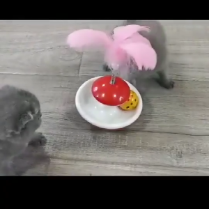 IMMCUTE Cat Feather Tumbler Toy with Sound Bell Teasing Stick Interactive Toy Teasing Cat