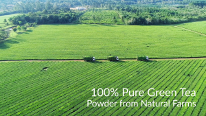 ผงมัทฉะออร์แกนิก iMATCHME ผงชาเขียวมัทฉะที่มีสารต้านอนุมูลอิสระสูงช่วยเสริมสร้างสุขภาพระบบย่อยอาหารสำหรับการทำอาหาร การอบ ลาเต้ สมูทตี้ เครื่องดื่มร้อนและเย็น