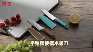 Stainless Steel Portable Fruit Knife with Knife Guard 不锈钢便携式水果刀带刀套