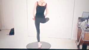 Panduan Membeli Papan Latihan Keseimbangan Balet & Turner Board