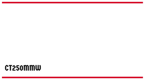 White Cable Tie 10" 10 Inch 250mm 100pcs 1 Packet Reliable Strong and Thick CT250MMW