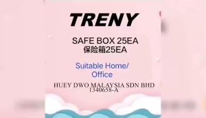 TRENY Standard Electronic SAFE BOX / SAFETY BOX / Digital safe with alarm -20EA/25EA/50EA/50EAB