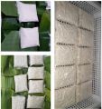 #Tempeh #กล้าเชื้อเทมเป้ 100 กรัม. 