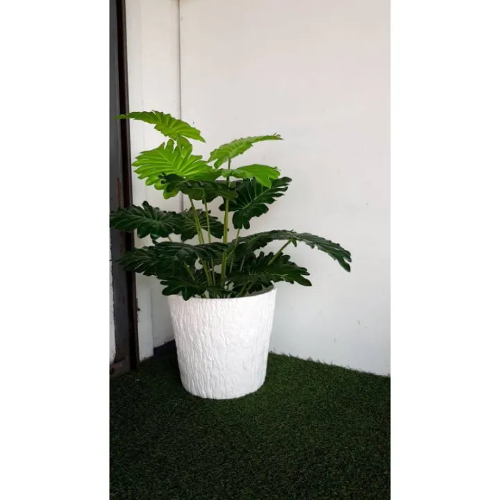 กระถางพลาสติกลายไม้สีขาว หนาแข็งแรง