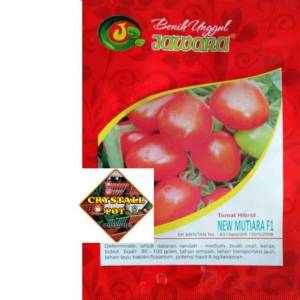Benih Bibit Tomat Hibrid New Mutiara F1 Benih Unggul JAWARA - TOMAT NEW MUTIARA F1