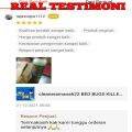 spray ampuh membunuh kutu kasur kutu busuk mati sampai ke sarang original. 