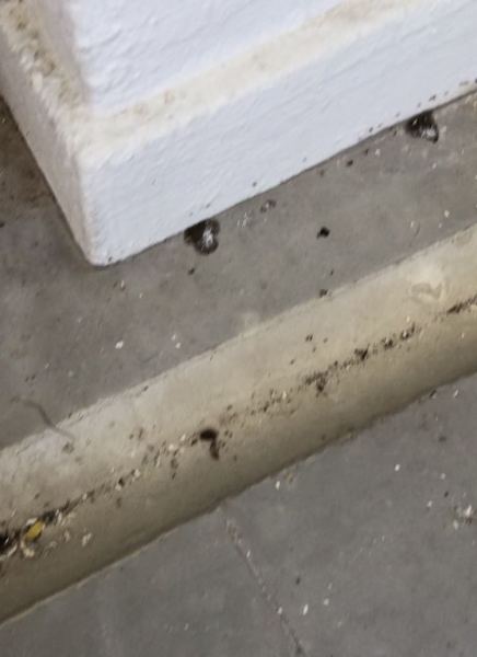 Buyer review image 4