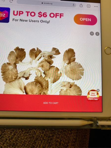 Buyer review image 1