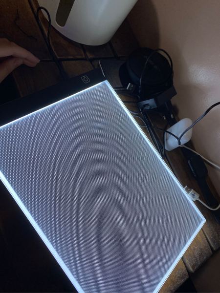 Buyer review image 2