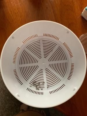 Buyer review image 4