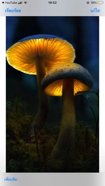 Buyer review image 4