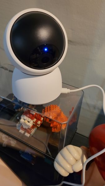 Buyer review image 2