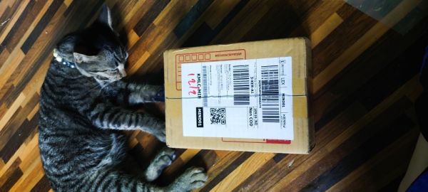 Buyer review image 2