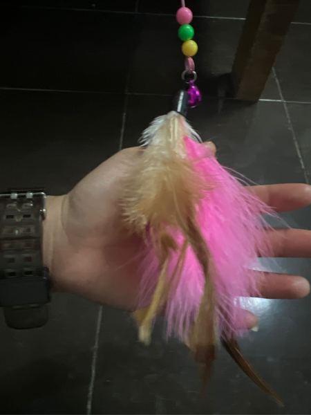 Buyer review image 2