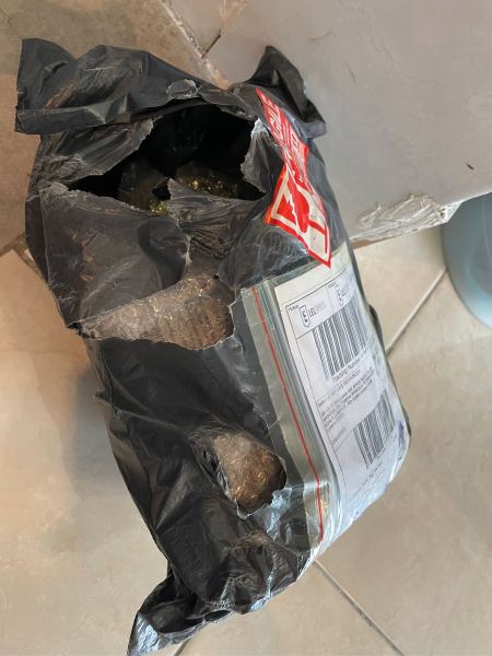 Buyer review image 2