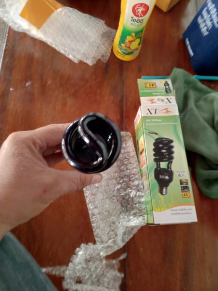 Buyer review image 4
