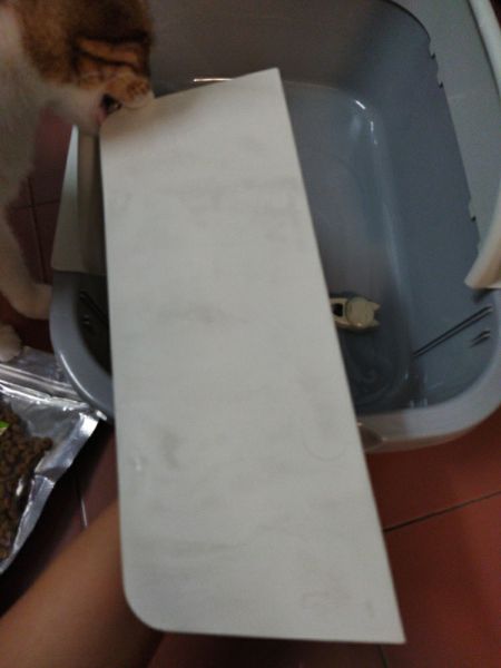 Buyer review image 3
