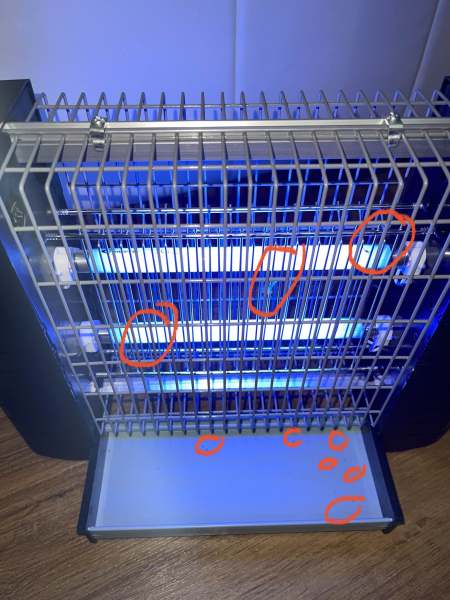 Buyer review image 1