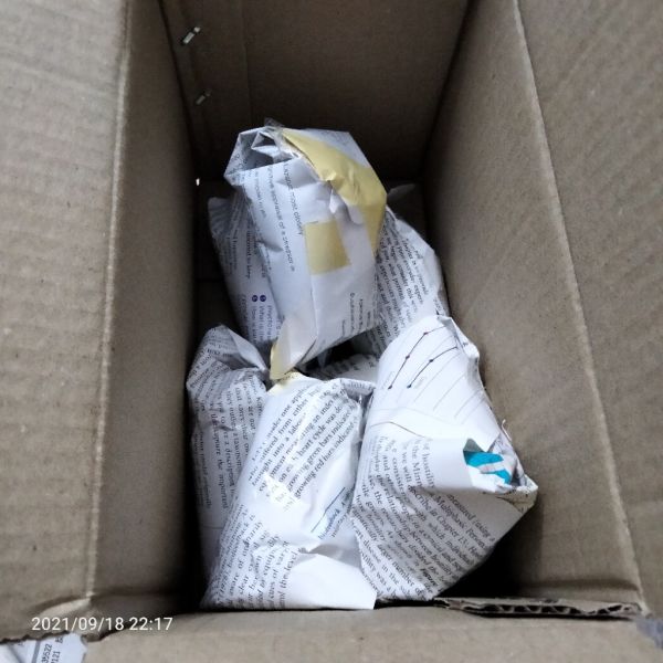 Buyer review image 2