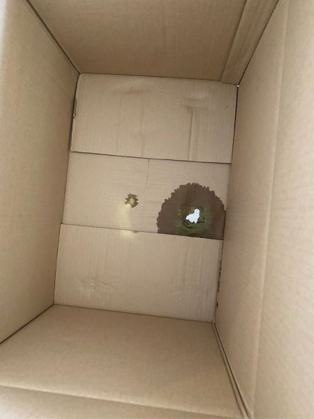 Buyer review image 2