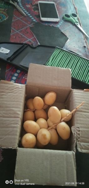 Buyer review image 1