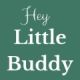 Hey Little Buddy