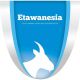 Etawanesia Store