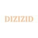 DIZIZID Store
