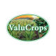 VALUCROPS Groceries