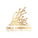 Dalat Cordyceps - TM