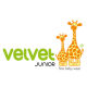 Velvet Junior Malaysia