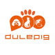 DulePig