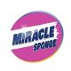 Miracle Sponge