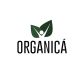Organica Beauty