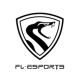 FL-Esports Authentic Store