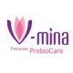 V-mina