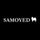 Samoyed
