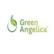 Green Angelica